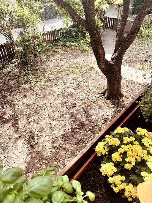 Appartement Raffinatezza Rustica Nella Campagna Veneziana à Canton  Extérieur photo