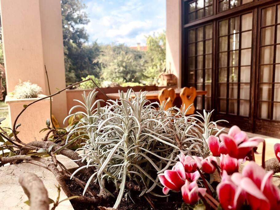 Appartement Raffinatezza Rustica Nella Campagna Veneziana à Canton  Extérieur photo