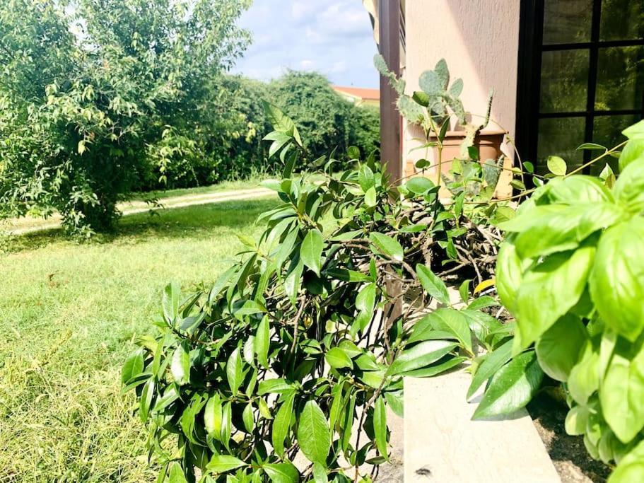 Appartement Raffinatezza Rustica Nella Campagna Veneziana à Canton  Extérieur photo